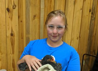 Poultry enthusiasts flock to Agriplex for Living Landscapes lecture on backyard chickens