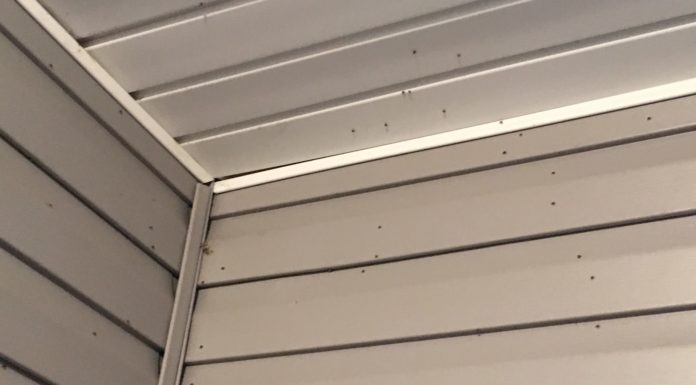 Arbor East residents swarm Cullman City Council meeting over fly problem