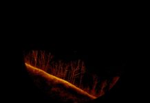 12 days in, search continues for missing boater