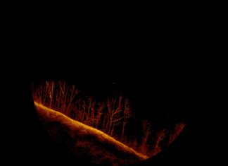 12 days in, search continues for missing boater