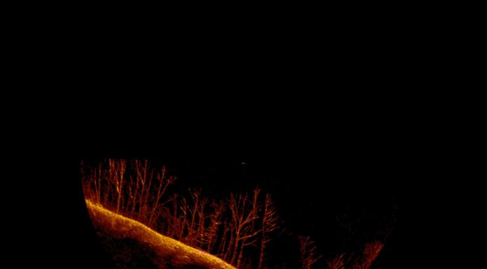 12 days in, search continues for missing boater