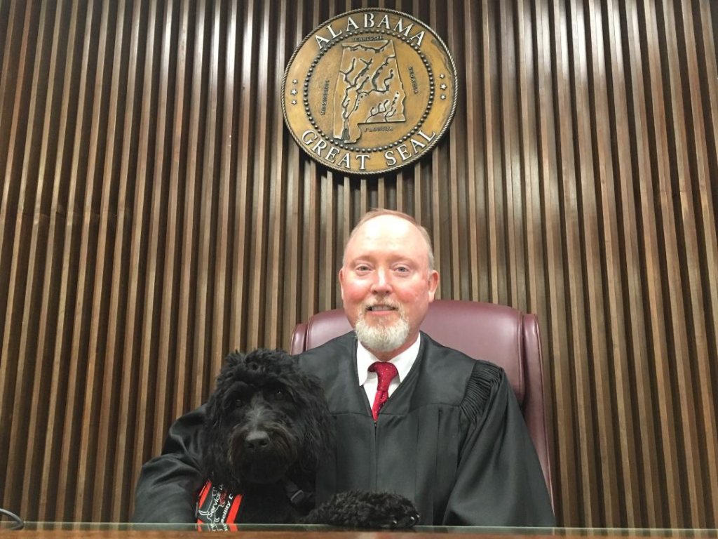 Meet Brooksie, the Cullman County Courthouse’s new facility dog | The