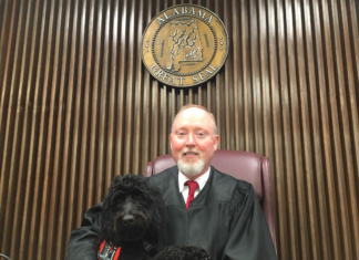 Meet Brooksie, the Cullman County Courthouse’s new facility dog