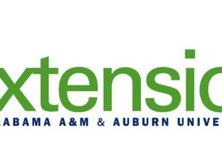 Food Safety Tips for your 4th of July Festivities