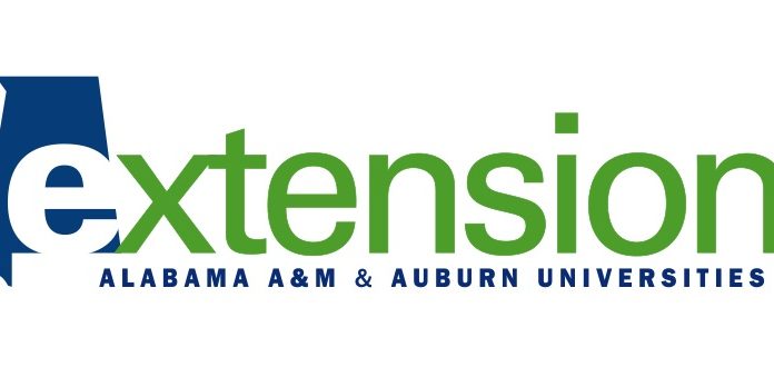 Food Safety Tips for your 4th of July Festivities