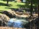 (Update) City dams Ryan Creek in Carroll Acres following fire at Professional Coatings