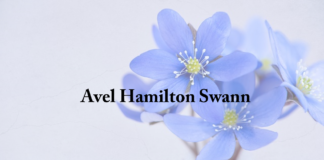 Obituary: Avel Hamilton Swann