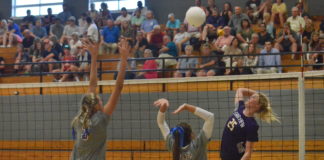 PREP VOLLEYBALL: Aggies topple Warriors, Eagles in tri-match