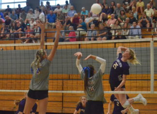 PREP VOLLEYBALL: Aggies topple Warriors, Eagles in tri-match
