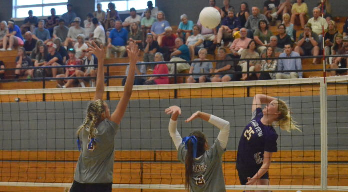 PREP VOLLEYBALL: Aggies topple Warriors, Eagles in tri-match