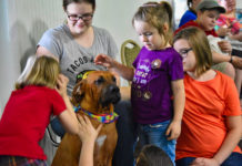 Turning canine companions into good citizens, and much more