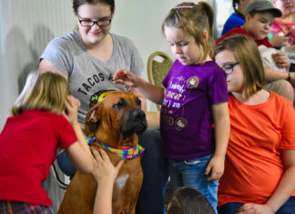 Turning canine companions into good citizens, and much more