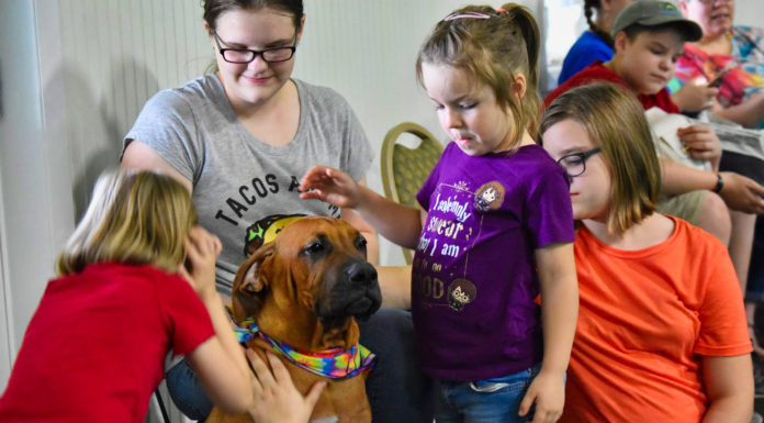 Turning canine companions into good citizens, and much more