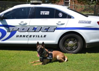 Hanceville Police K-9 Unit making big impact on drug arrests