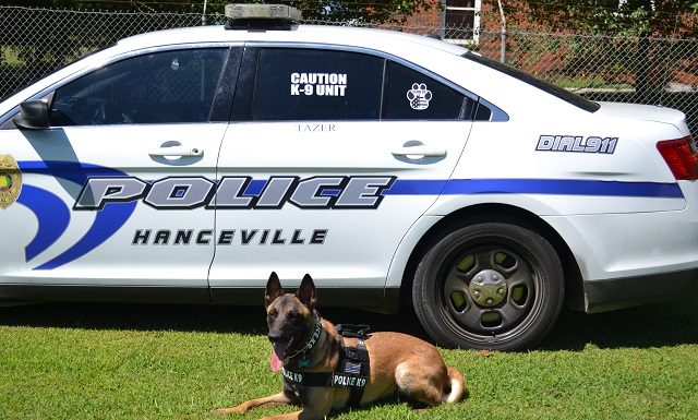 Hanceville Police K-9 Unit making big impact on drug arrests