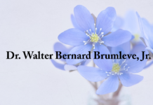 Obituary: Dr. Walter Bernard Brumleve, Jr.