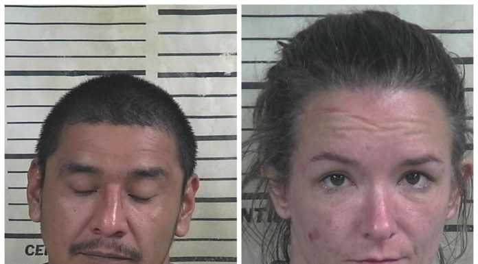 Man, woman from Hanceville charged with selling meth