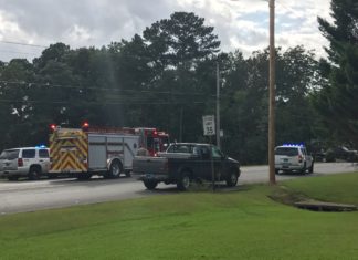 (Updated) Pedestrian struck by truck in NW Cullman dies