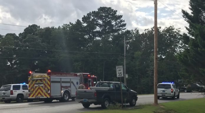 (Updated) Pedestrian struck by truck in NW Cullman dies