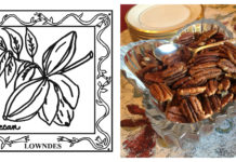 67-County Alabama Garden Party: Lowndes County