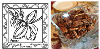 67-County Alabama Garden Party: Lowndes County