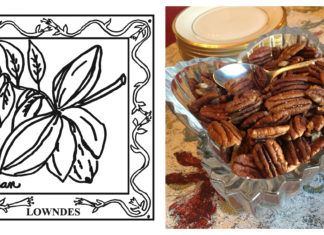 67-County Alabama Garden Party: Lowndes County