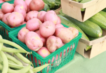 Freeze veggies to enjoy this fall and winter