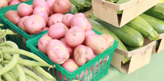 Freeze veggies to enjoy this fall and winter