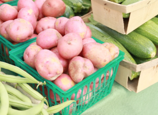 Freeze veggies to enjoy this fall and winter