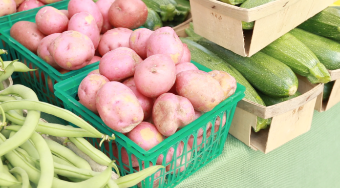 Freeze veggies to enjoy this fall and winter