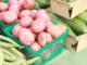 Freeze veggies to enjoy this fall and winter