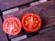 Seed saving 101