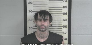 Vinemont man jailed for attempted robbery, multiple other charges