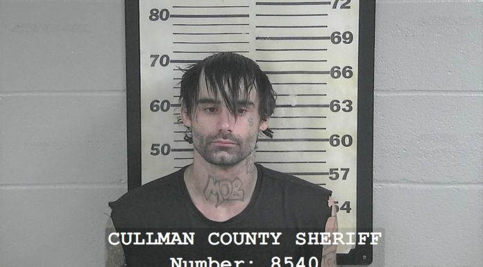 Vinemont man jailed for attempted robbery, multiple other charges