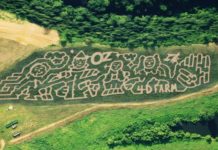 4D Farm’s annual Fall Festival returns this Saturday