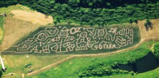 4D Farm’s annual Fall Festival returns this Saturday