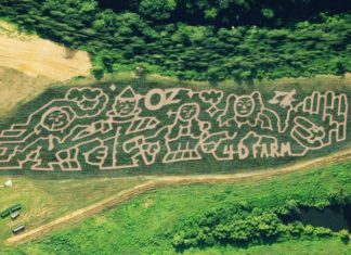 4D Farm’s annual Fall Festival returns this Saturday