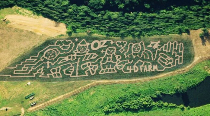 4D Farm’s annual Fall Festival returns this Saturday