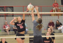 PREP VOLLEYBALL: Holly Pond sweeps tri-match at Good Hope; Lady Raiders collect area win over Ashville