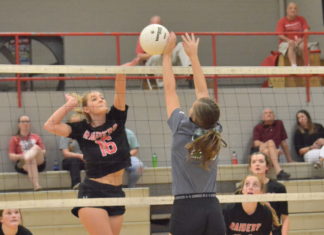 PREP VOLLEYBALL: Holly Pond sweeps tri-match at Good Hope; Lady Raiders collect area win over Ashville