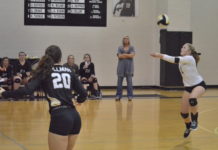 PREP VOLLEYBALL: Cullman falls in area match against Hartselle