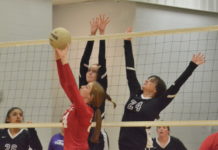 PREP VOLLEYBALL: Lady Raiders split tri-match with Hanceville, Susan Moore