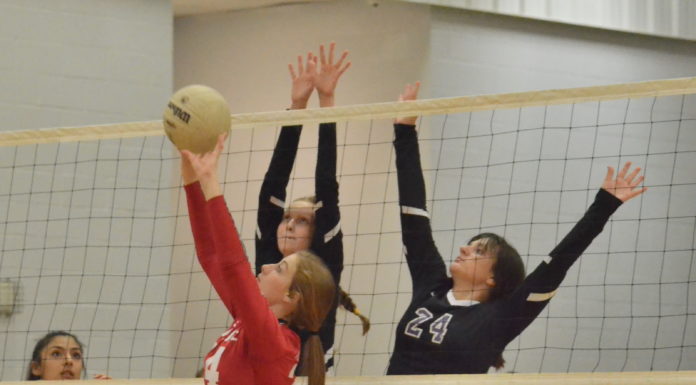 PREP VOLLEYBALL: Lady Raiders split tri-match with Hanceville, Susan Moore