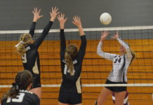 PREP VOLLEYBALL: Lady Bearcats defeat West Point, Arab in tri-match