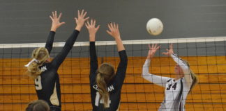 PREP VOLLEYBALL: Lady Bearcats defeat West Point, Arab in tri-match