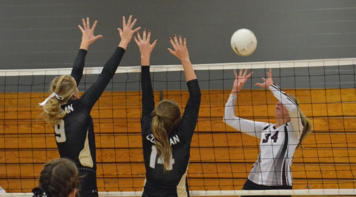PREP VOLLEYBALL: Lady Bearcats defeat West Point, Arab in tri-match