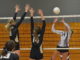 PREP VOLLEYBALL: Lady Bearcats defeat West Point, Arab in tri-match