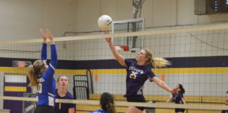 PREP VOLLEYBALL: Lady Aggies sweep tri-match with Holly Pond, Cold Springs