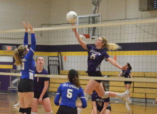 PREP VOLLEYBALL: Lady Aggies sweep tri-match with Holly Pond, Cold Springs