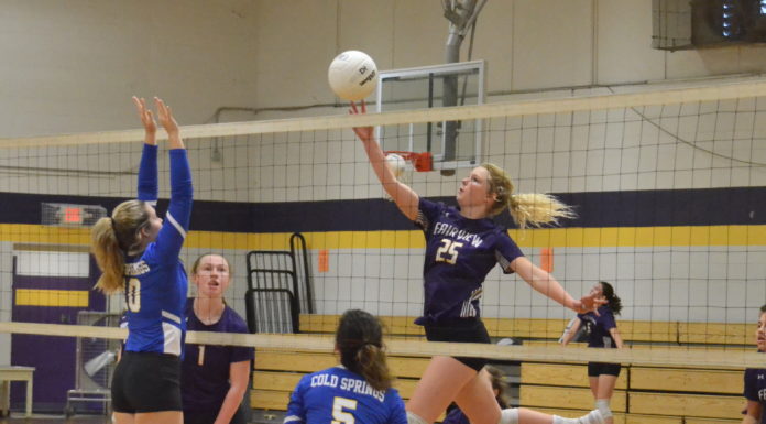 PREP VOLLEYBALL: Lady Aggies sweep tri-match with Holly Pond, Cold Springs